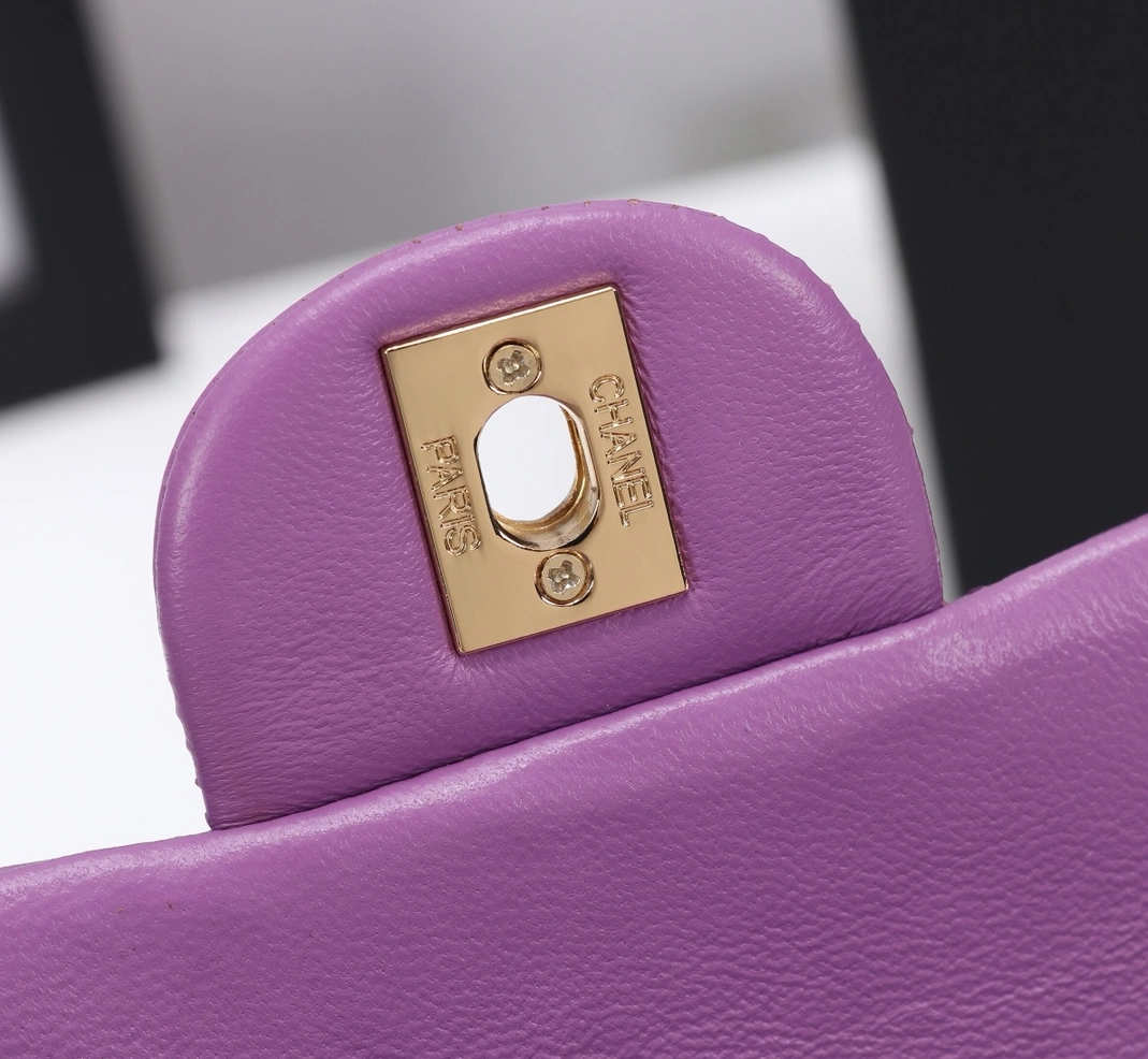 Durable 8728 Chanel AAA Quality Messenger Bags For Women - Image 7